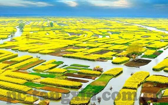 91国产麻豆视频-探秘互联网世界的多样化娱乐——91国产麻豆视频的背后世界