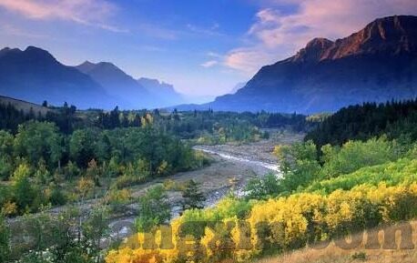 嘿嘿视频麻豆-嘿，视频里的麻豆文化——一场视觉与思想的盛宴