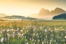 快猫成人版短视频破解版网站-探索成人娱乐的边界，快猫成人版短视频的真相