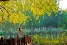 麻豆91app-数字时代下的虚拟影院，麻豆91app的多元文化探索与反思