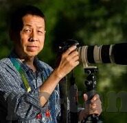 日韩av电影免费在线播放-探索日韩AV电影的在线免费播放，文化、伦理与个人选择的交汇