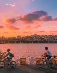 台湾av麻豆视频免费网-试析网络平台对成人内容的风险与疑虑，关于台湾AV麻豆视频免费网的相关讨论