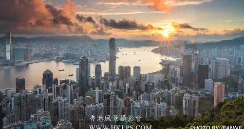 vlog糖心官网下载-探索Vlog糖心——创建你的个性化视频内容之旅