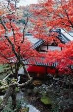 最全新伦理电影网-探索最新伦理电影的魅力，最全新伦理电影网指南